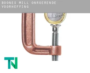 Boones Mill  onroerende voorheffing