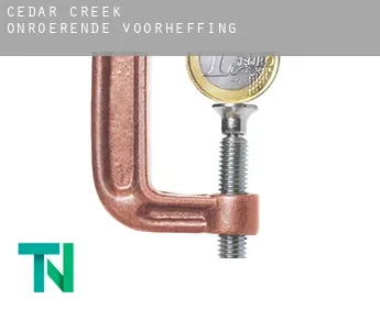 Cedar Creek  onroerende voorheffing