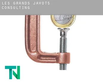 Les Grands Javots  consulting