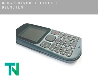 Bergschenhoek  fiscale diensten