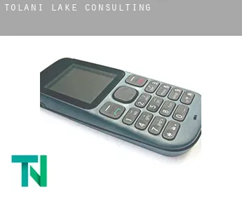 Tolani Lake  consulting