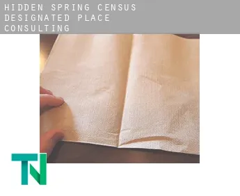 Hidden Spring  consulting