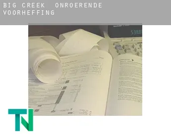 Big Creek  onroerende voorheffing