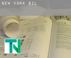 New York  bill