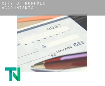 City of Norfolk  accountants