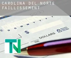 North Carolina  faillissement