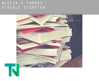 Blecua y Torres  fiscale diensten