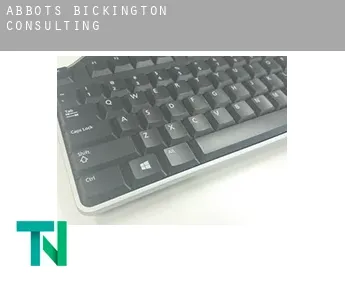 Abbots Bickington  consulting