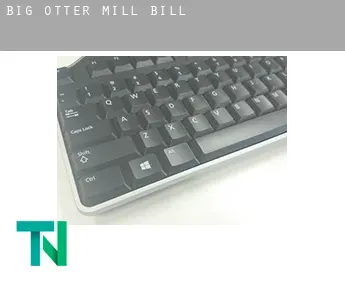 Big Otter Mill  bill
