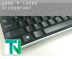 Land O' Lakes  accountants
