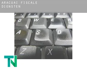 Araçuaí  fiscale diensten