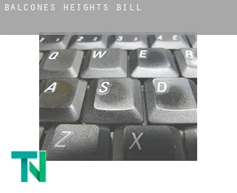 Balcones Heights  bill