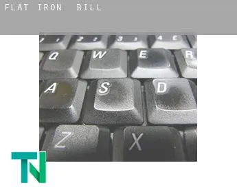 Flat Iron  bill