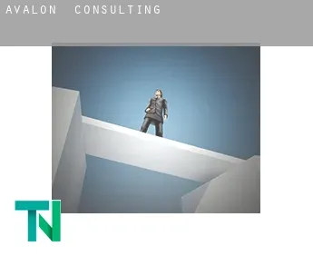 Avalon  consulting