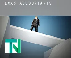 Texas  accountants