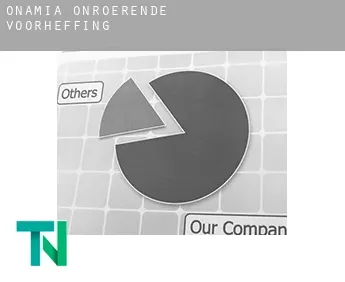 Onamia  onroerende voorheffing