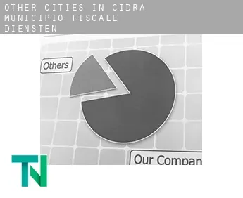 Other cities in Cidra Municipio  fiscale diensten