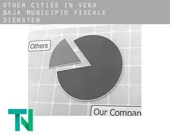 Other cities in Vega Baja Municipio  fiscale diensten