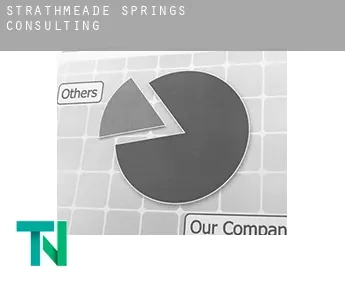 Strathmeade Springs  consulting
