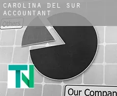 South Carolina  accountants
