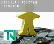 Missouri  fiscale diensten