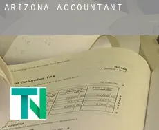 Arizona  accountants