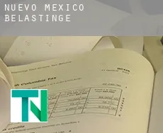 New Mexico  belastingen