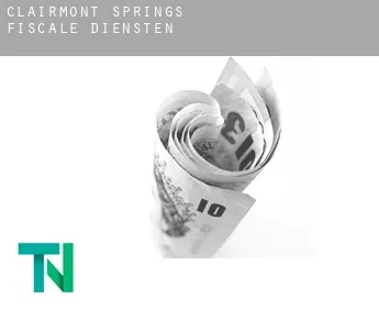 Clairmont Springs  fiscale diensten