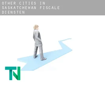 Other cities in Saskatchewan  fiscale diensten