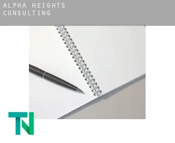 Alpha Heights  consulting