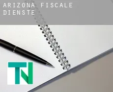 Arizona  fiscale diensten