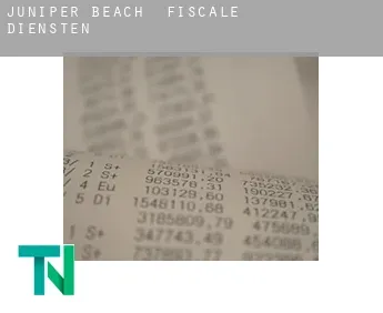 Juniper Beach  fiscale diensten