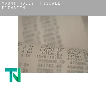 Mount Holly  fiscale diensten