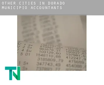 Other cities in Dorado Municipio  accountants