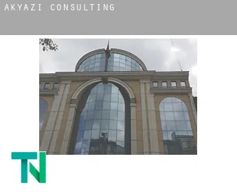 Akyazı  consulting