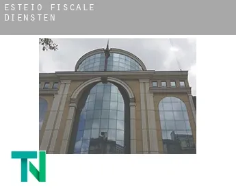 Esteio  fiscale diensten