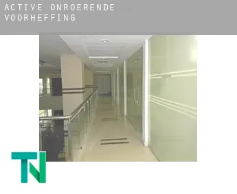 Active  onroerende voorheffing