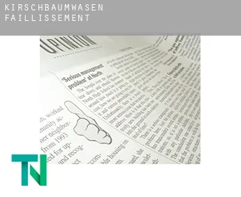 Kirschbaumwasen  faillissement