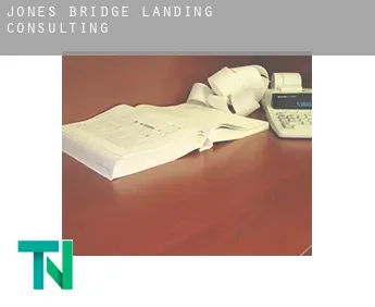 Jones Bridge Landing  consulting