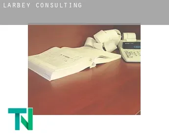 Larbey  consulting