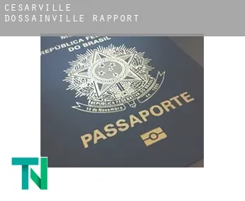 Césarville-Dossainville  rapport