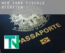 New York  fiscale diensten