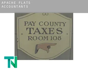 Apache Flats  accountants