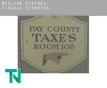 Boiling Springs  fiscale diensten