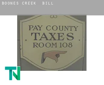 Boones Creek  bill