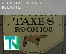 Georgia  fiscale diensten