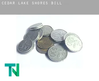 Cedar Lake Shores  bill