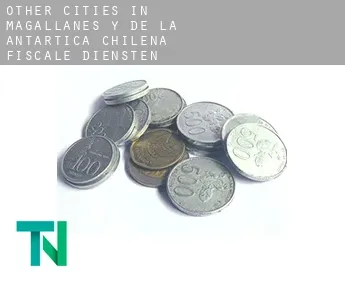 Other cities in Magallanes y de la Antartica Chilena  fiscale diensten