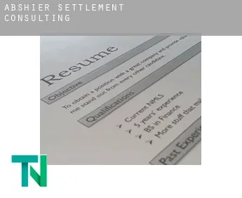 Abshier Settlement  consulting