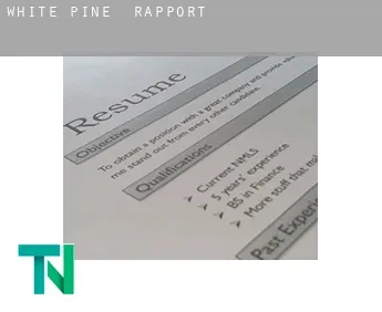 White Pine  rapport